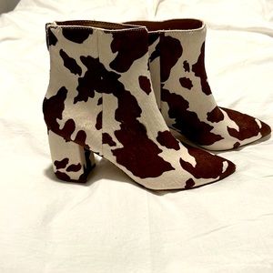 Cow print Steve Madden booties